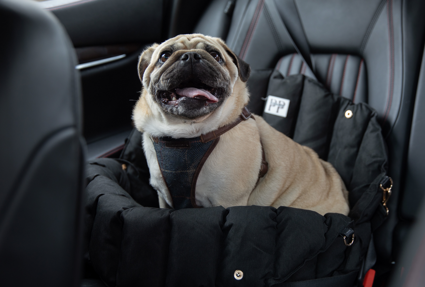 The Pup Pouch - Car Seat, Carrier & Day Bed