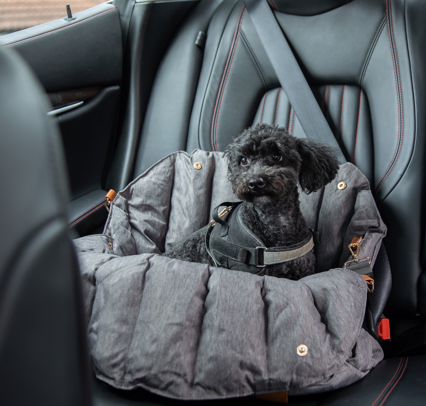 The Pup Pouch - Car Seat, Carrier & Day Bed